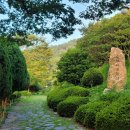 법성포 숲쟁이공원 이미지