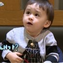 세종플러스