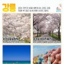 경충대로 2709번길 4 이미지