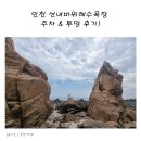 투망 | 인천 선녀바위해수욕장 주차 &amp; 투망 후기!
