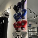 88GYM 이미지