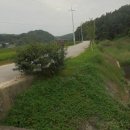 만경산 산림욕장 이미지