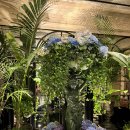 1610 | 레스케이프 호텔 아뜰리에킹룸 후기 1610호 (feat 팔레드신)