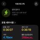 크로스핏샤인