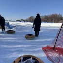 대관령마루길 | 대관령 윈터밸리 썰매장 강아지 동반 후기｜애견동반 썰매장