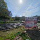 신차령산맥
