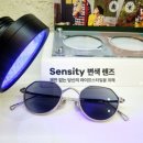 베니스안경 | 신상테 찾는다면 여기! 안산 금자안경·베니스안경 방문 후기
