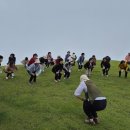 꿈나무사회복지관 행복숲 | 영광군 노인복지관, 보성 윤제림 숲 체험 힐링 여행 후기! 🌳