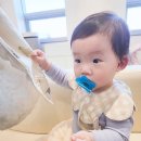 연꽃안에소아청소년과의원 이미지