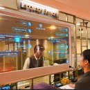 파라다이스 이미지