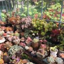 전원카페 이미지