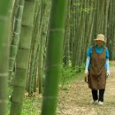 ‘나무’를 닮은 사람들을 찿아서 횡성,괴산,고창,해남 계곡면,진천의 통산마을,담양으로 떠나는 한국 기행(EBS,8/4~8,9시30분) 이미지