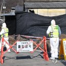 임순석 농장 이미지