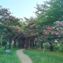GS25안산호수점 | 이찬원 혼밥 편스토랑 찬또배기 된장술밥 GS25안산호수점