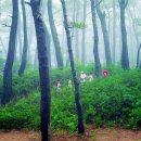 관매도해수욕장 이미지