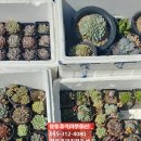 석봉마을9단지 부영아파트(장유5차) 이미지