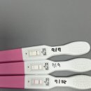 청담헤라산부인과의원 이미지