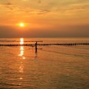 월암태양광발전소 이미지