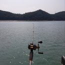 사항어촌계 낚시터 | [충남-난지도] 난지도 바다낚시, 해상낚시터 다녀왔어요!