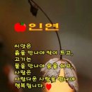 도농로24 이미지