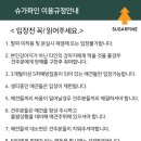 슈가파인