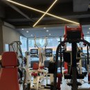 골든몽키짐 플래티넘 sky | 신설동 PT, 골든몽키짐 2호점 플래티넘SKY헬스장 후기!