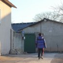 이른아침민박 이미지