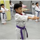 고려태권도아카데미 이미지