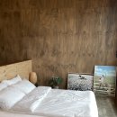 스테이느으린 이미지