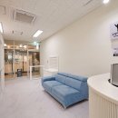 고양이 이발관 이미지