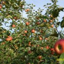 샘골농장 이미지