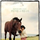 각설탕 이미지