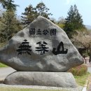 체험학습스쿨동행주