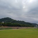 달하노피곰 캡슐호텔 이미지