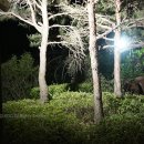 Casa Seorak(설악의 향기) 이미지