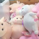 짱 뽑기샵 이미지