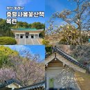 충렬사 앞 화장실 | 부산 동래 가볼만한곳 충렬사 목련 매화 실시간 봄꽃 산책