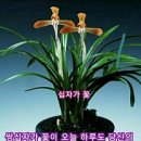 아지랭이 이미지
