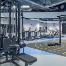 플렉스 휘트니스 이미지