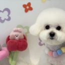 이뻐지개 이미지