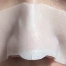 화수육계 이미지