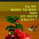 행복이가득한주유소 네이버블로그