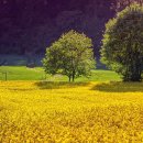 돌고래목욕탕 이미지