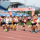 거창-주상-10 이미지