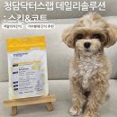 청담닥터스랩 데일리솔루션 : 강아지 가수분해 저알러지간식 트릿 내돈내산 후기