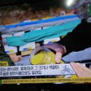 금능식품 이미지