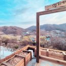 양지마을 포레스트 이미지