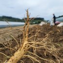 정 농원 이미지