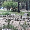 소나무와황토민박 이미지