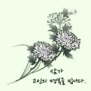 배정고등학교 이미지